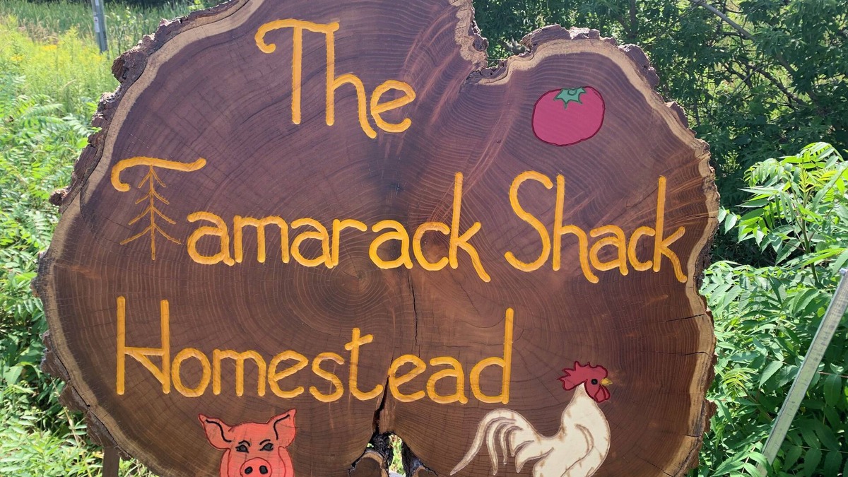 Stirling House | Wee Willa at The Tamarack Shack Homestead. Friendly farm animals to visit with!