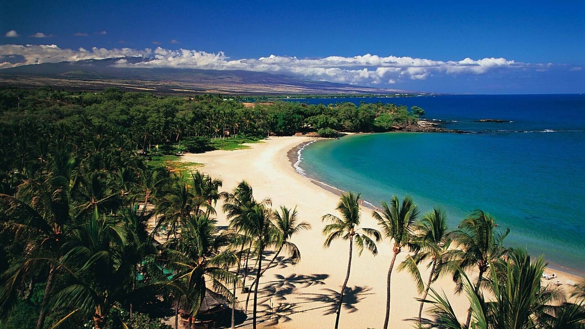 Kamuela House | Weekly/Monthly Discounts! Hawaiian Luxury above Mauna Kea & Hapuna Beach!