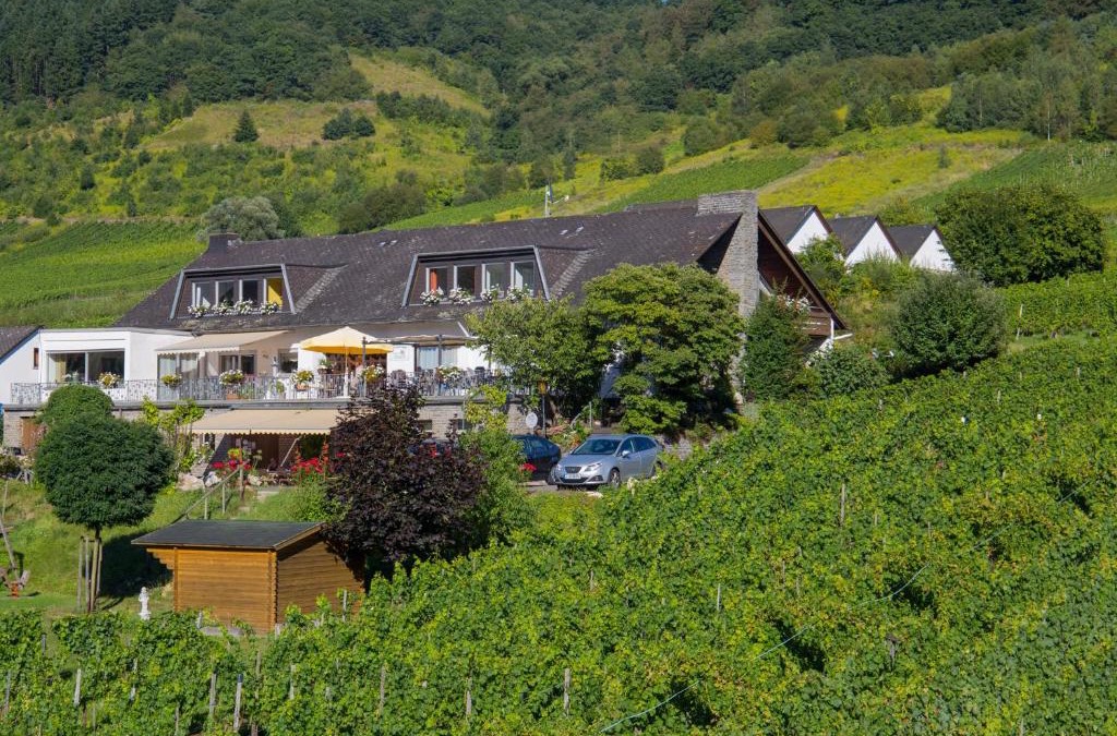 Burg Apartment | Weingut & Gästehaus Heidhof