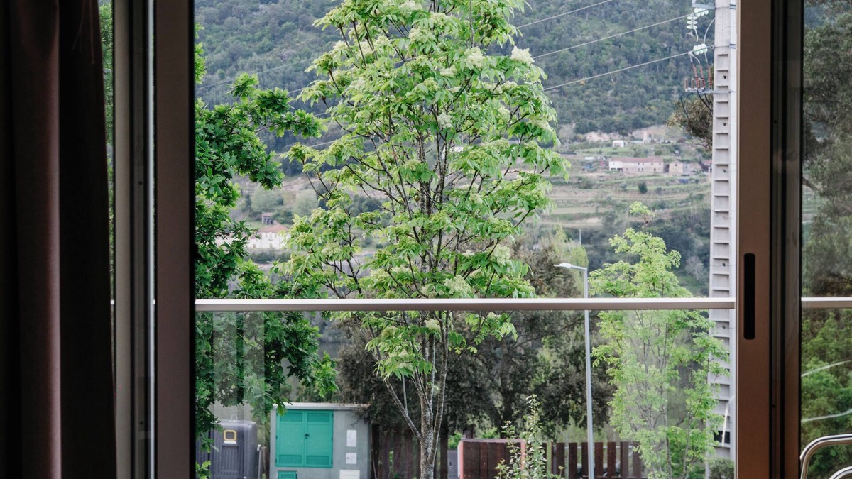 Cinfaes RV Rental | Welcome Douro