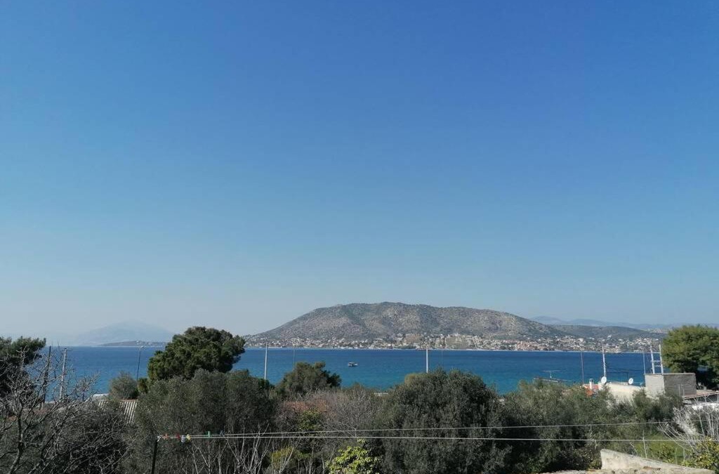 Salamis Villa | Welcome in Salamina