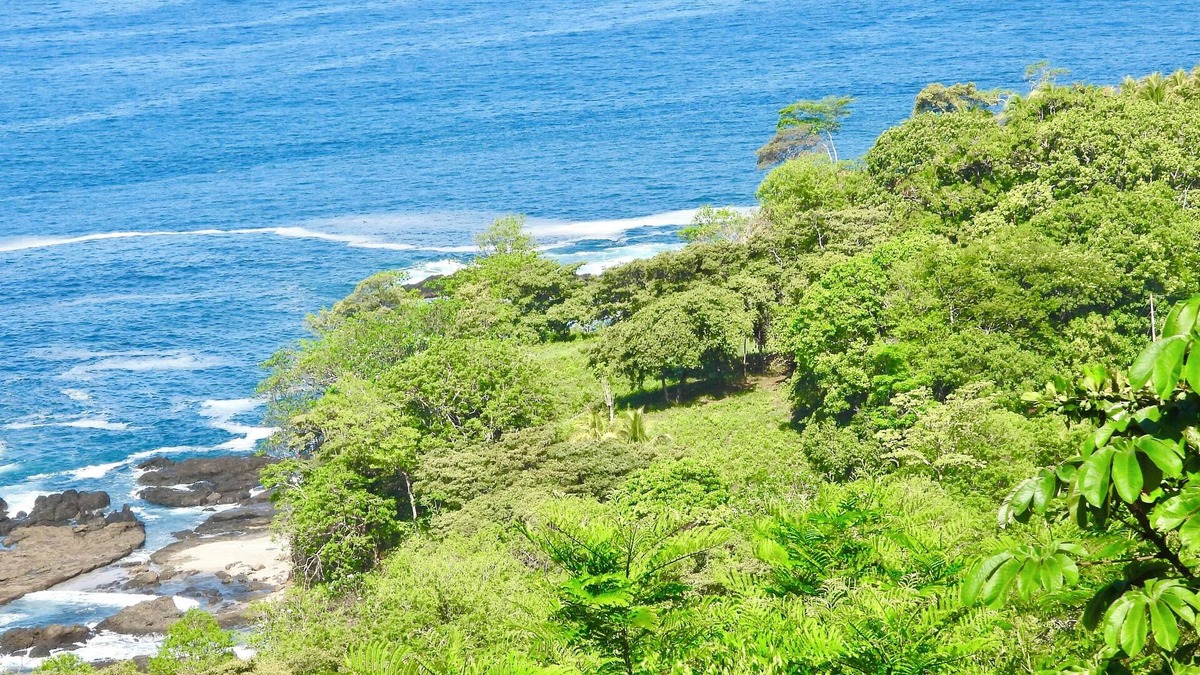 Samara House | Welcome to Imagina where you will find yourself nestled between jungle and ocean