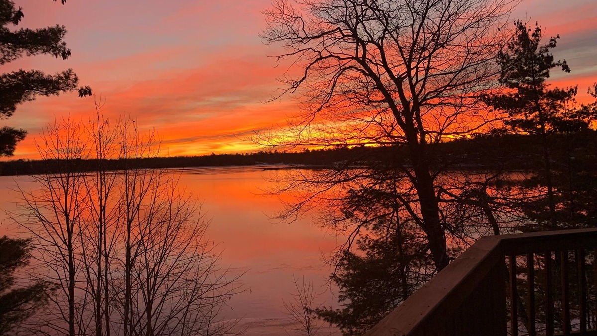 Hackensack Cabin | Welcome to Lakeside Haven on Webb Lake, surrounded by towering pines!