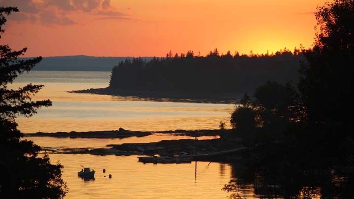 Seal Cove House | Welcome to Seal Cove Cottage