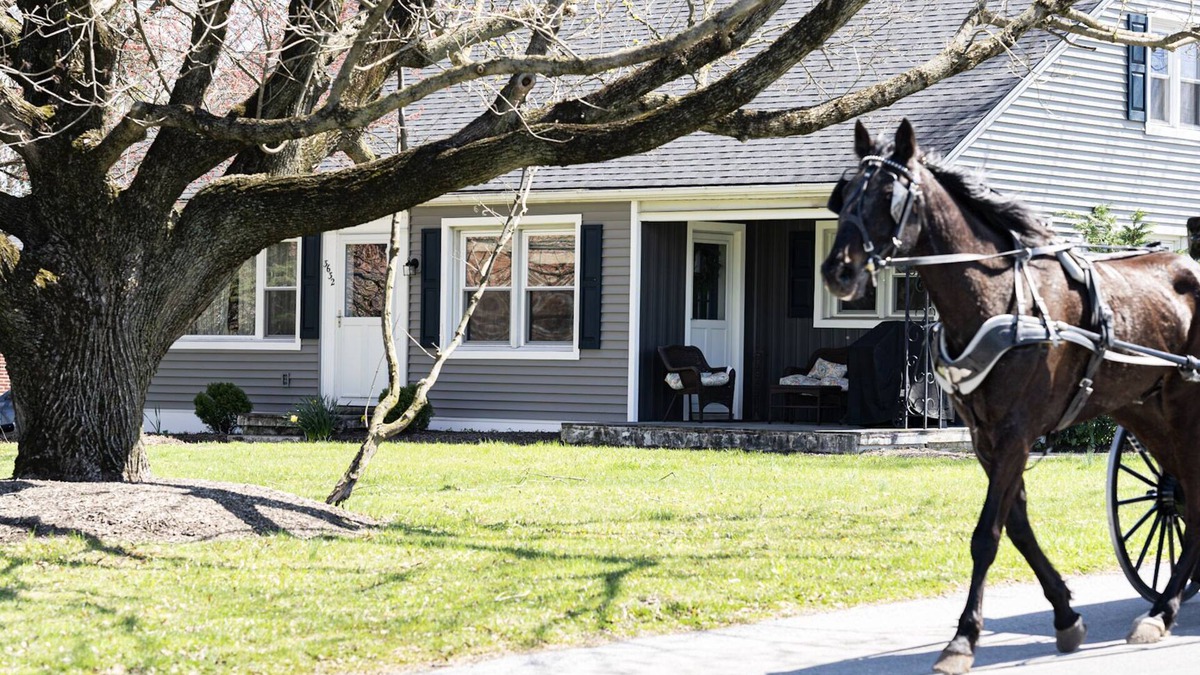 Intercourse House | Welcome to the Country Nest
