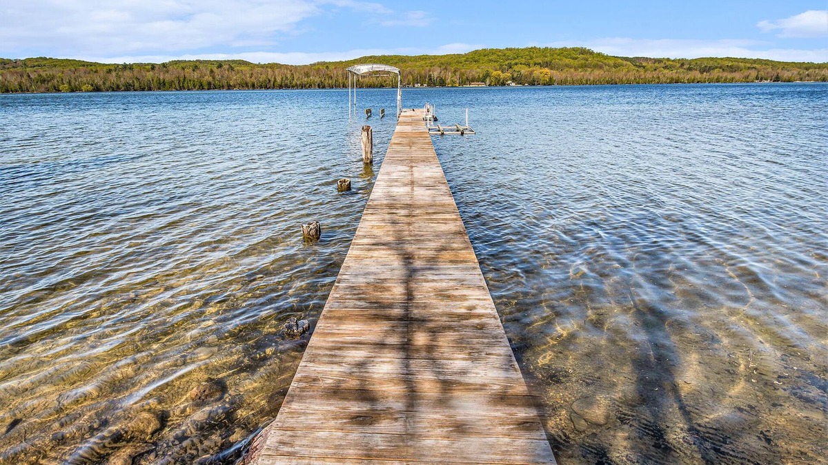 Bellaire Cottage | Welcome to the Loon Lodge on Intermediate Lake!