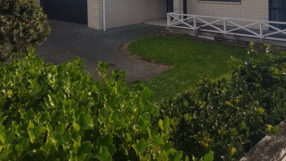 Papakura House | Welcome to your comfy, cosy home
