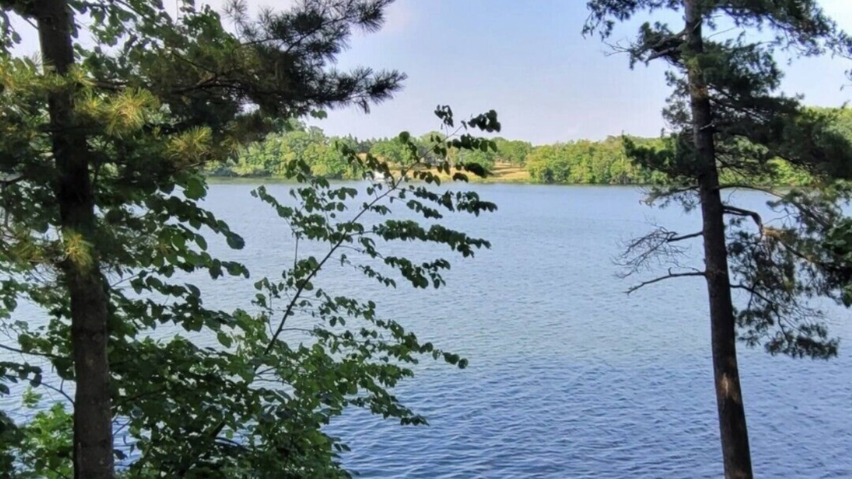 Turtle Lake Cabin | Welcoming & updated Lakefront cabin with AC in Turtle Lake - 2 bedrooms