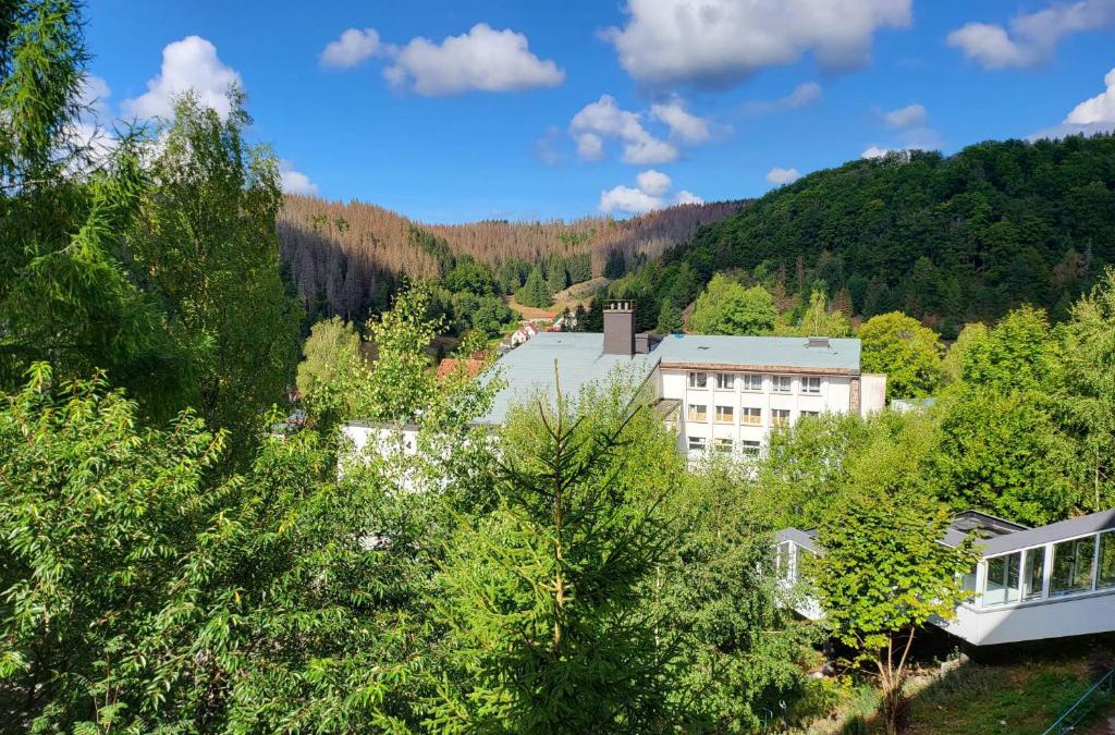 Fehrenbach Hotel | Werrapark Aktiv Hotel Am Sommerberg