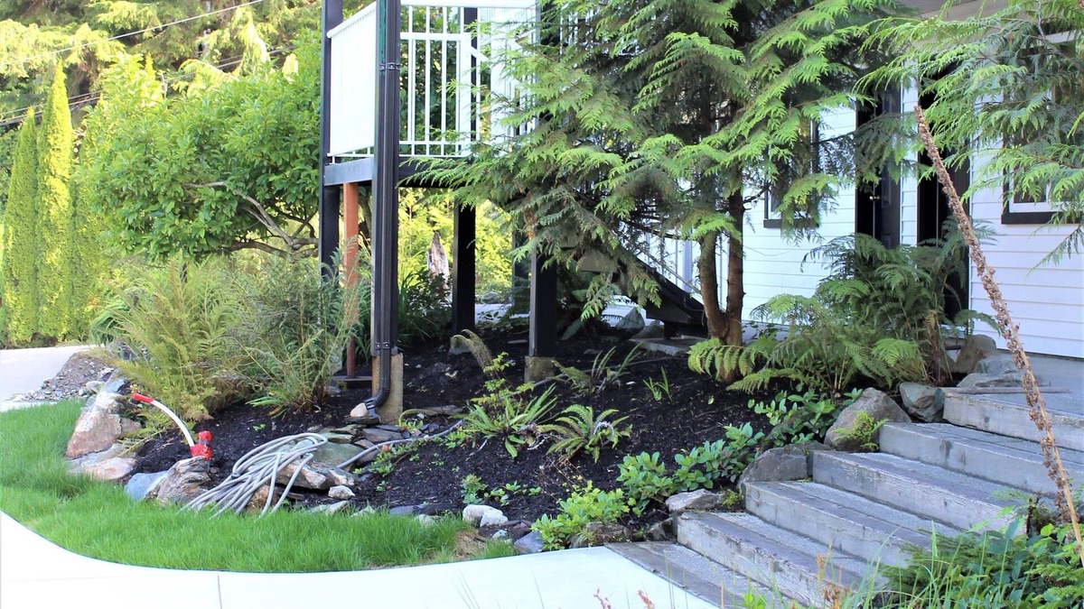 Port Renfrew Cabin | West Coast Trail Lodge