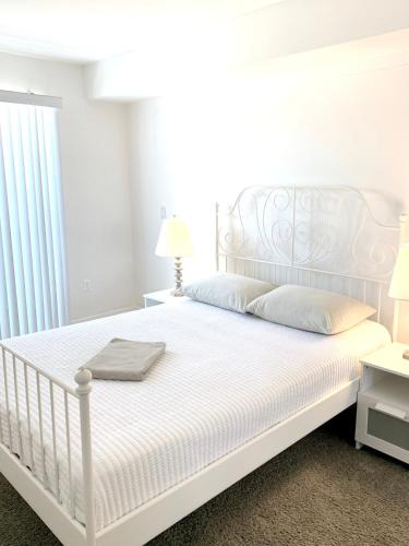 Hollywood House | Western Melrose