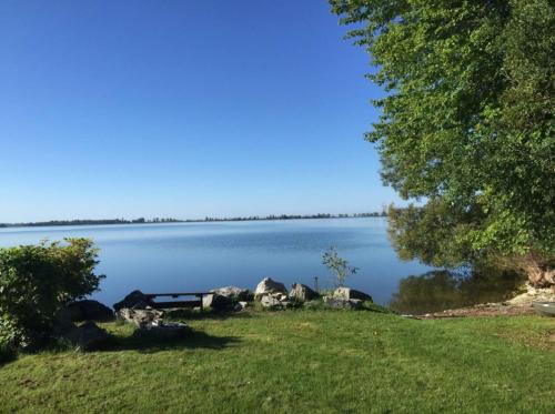 Bloomfield House | Westlake Cottage - Wellington Lodge