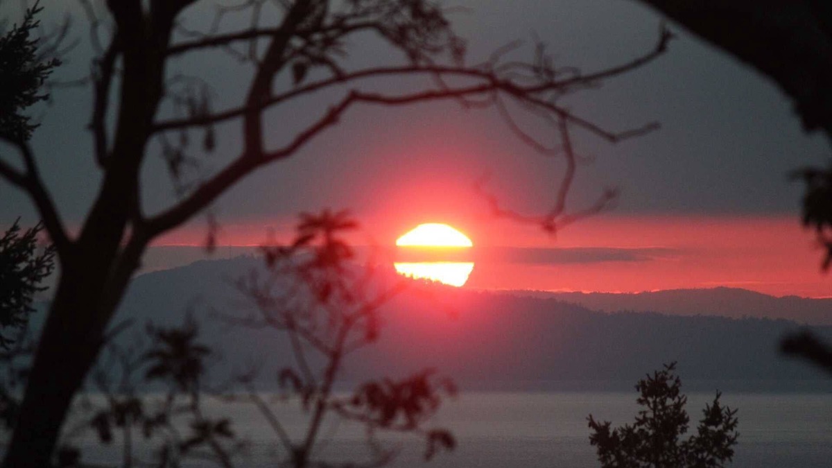 Friday Harbor Cottage | WESTSIDE Ocean View Vacation Home HOT TUB, available YEAR ROUND