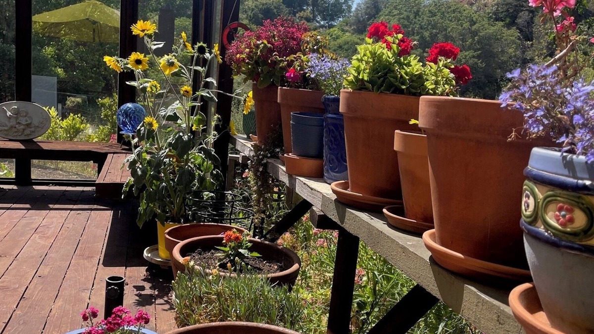 Westlake House | Westside Santa Cruz home at base of UCSC campus which overlooks the Pacific