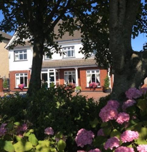 Galway Bed & Breakfast | Westwinds Guestlodge