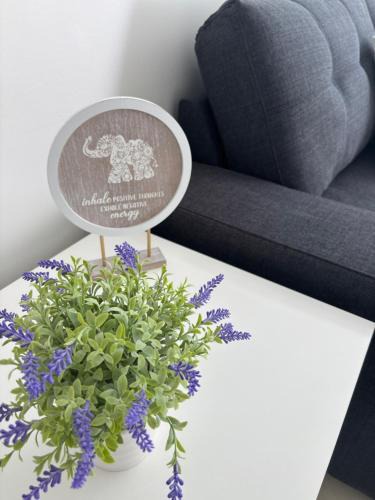 South West Rocks Apartment | Whats not to LOVE