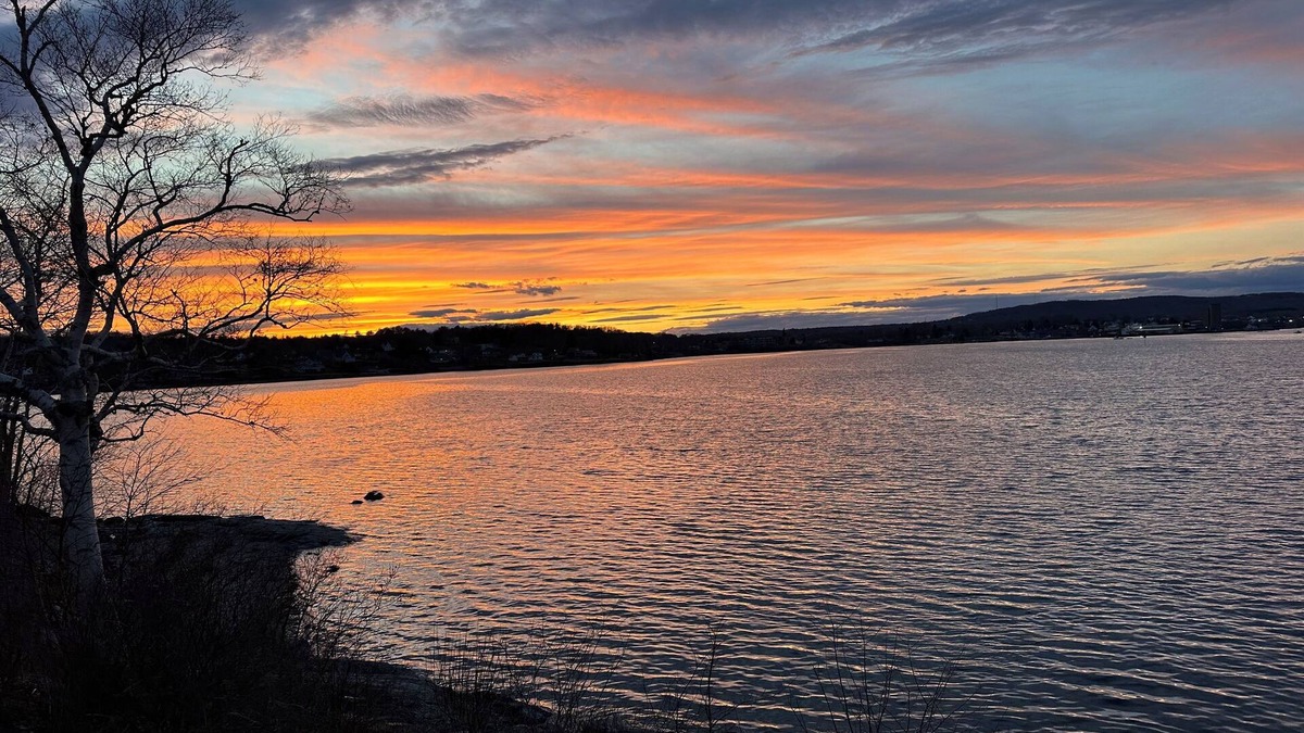 Owls Head House | Whispering Tides, on the shores of Rockland Harbor