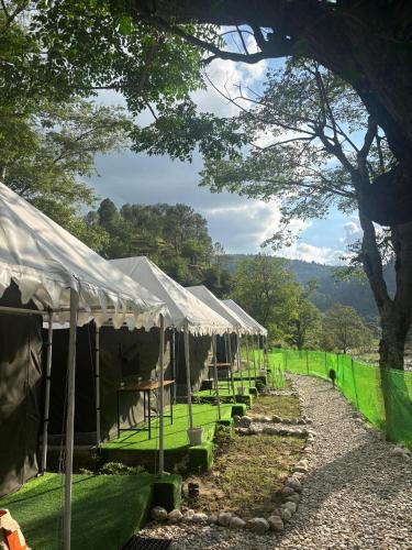 Almora Other | Whispering Water Camp