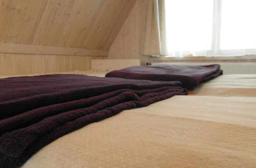 Druskininkai House | White Cottage