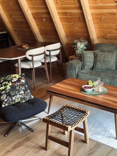Zabljak Villa | White Forest Durmitor 2