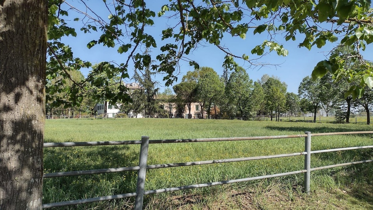 Noceto House | "White House" to discover a territory