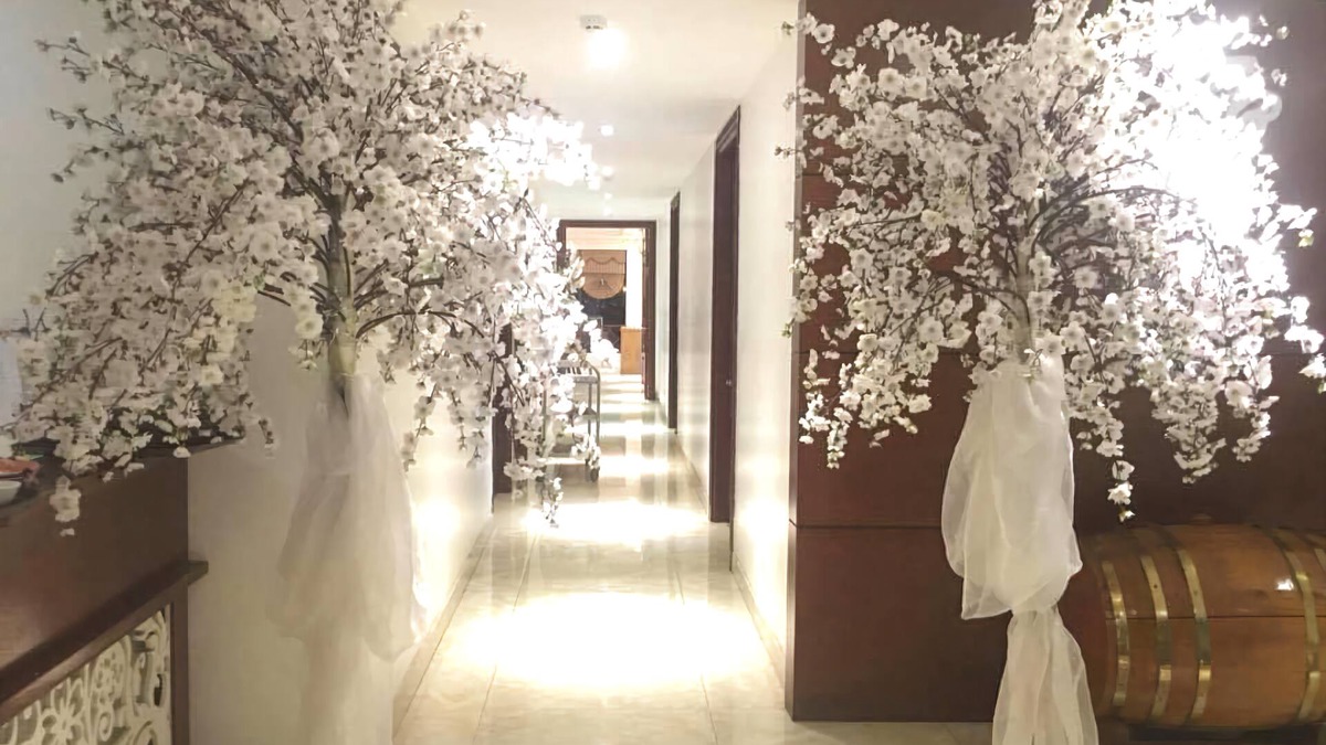 Lao Cai Hotel | White Lotus
