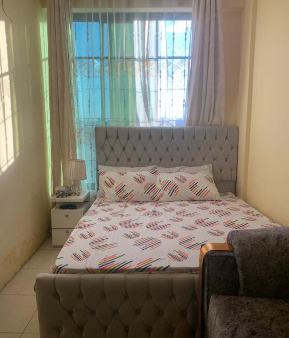 Kijitonyama Hotel | white Snow inn.