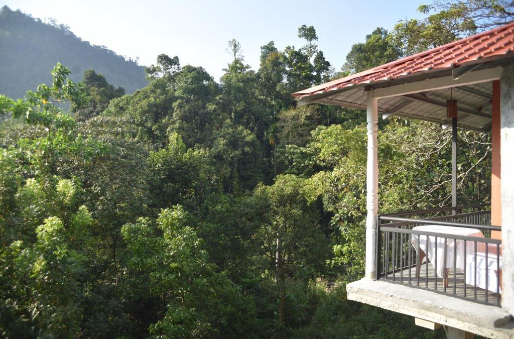 Kithulgala Hotel | White Villa Kitulgala