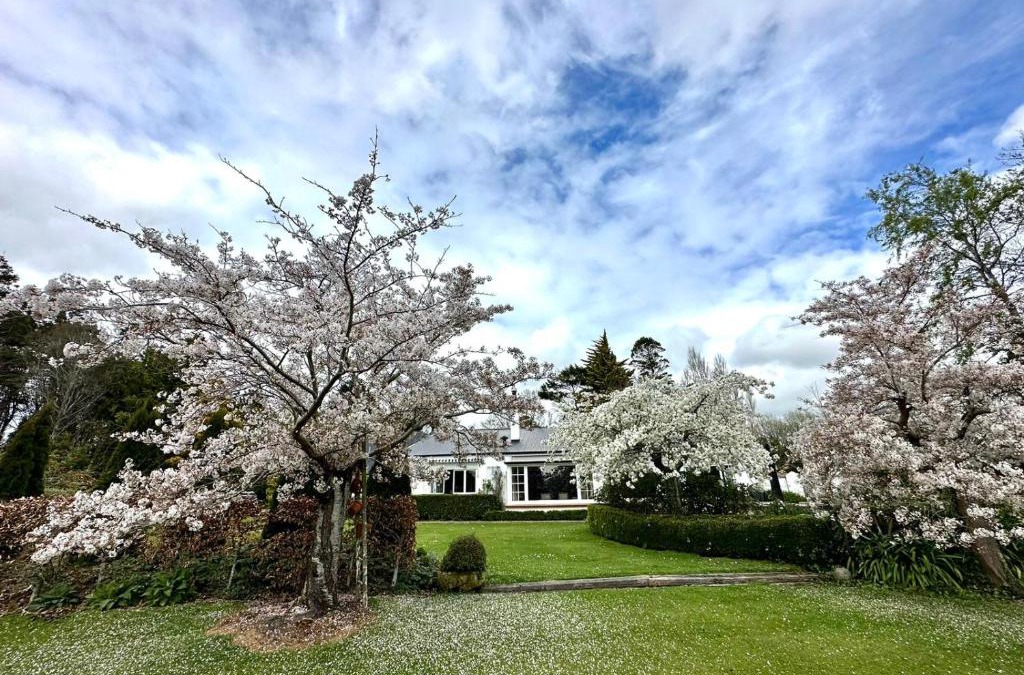 Invercargill Bed & Breakfast | Whiteacres
