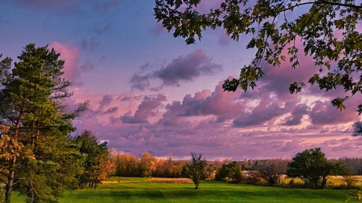 South Bruce Peninsula Cottage | Wiarton Secluded Cottage · Secluded Cottage | Rustic | Trails | BBQ | Firepit
