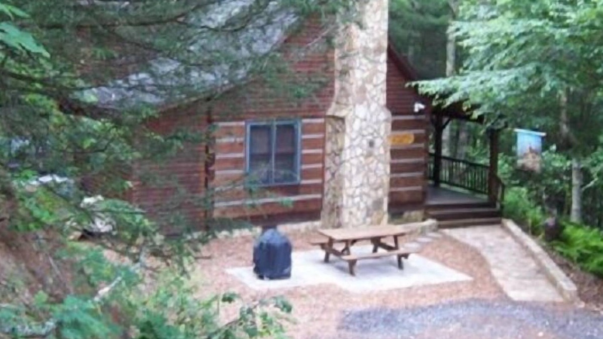 Lansing Cabin | Wil-deer-ness Cabin- Secluded-Firepit-Hot Tub-WiFi-Dog Friendly