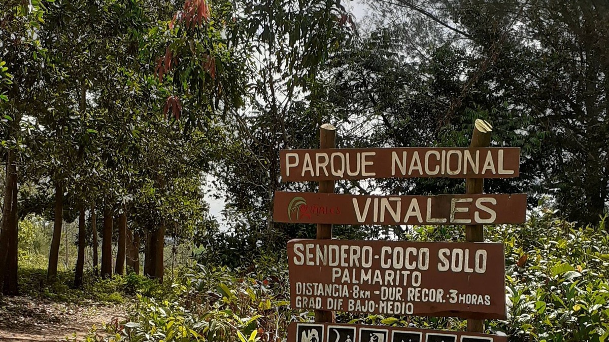 Vinales House | Wilber House