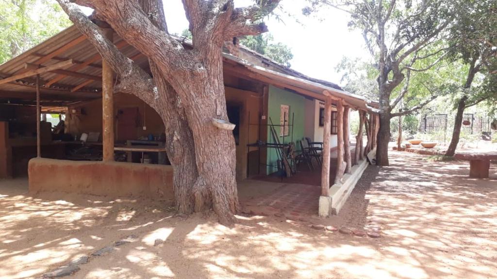 Yodakandiya House | Wild corridor resort bundala