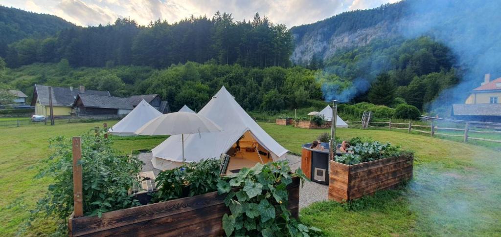 Schwarzau im Gebirge Other | Wild Glamping in the Vienna Alps