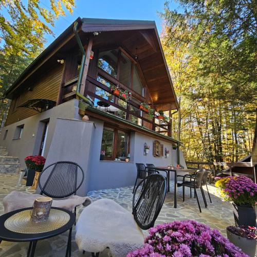 Sinaia Ski Chalet | Wild House