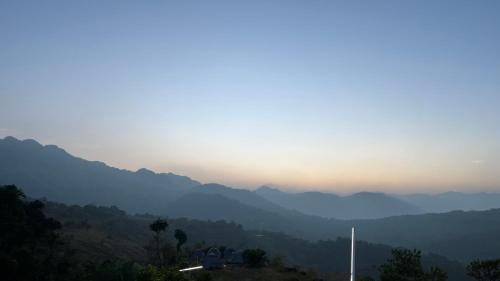 Vagamon Other | Wild Jacket