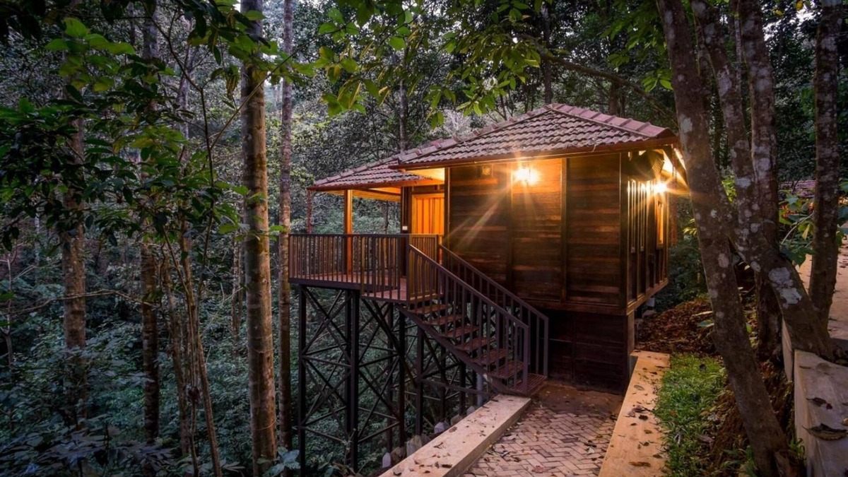 Devala Hotel | Wild Planet Resort