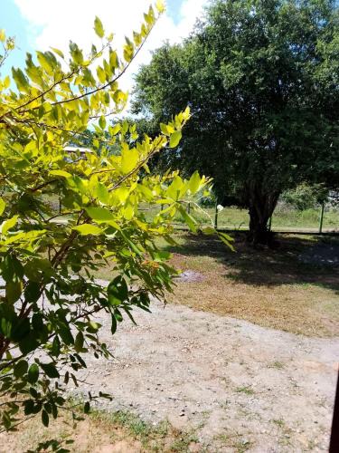 Kataragama House | Wild Town Holiday Resort