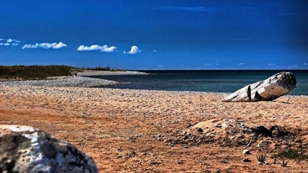 Harbor Springs Cottage | Wilderness Setting Near Beautiful Lake Michigan