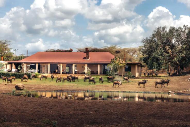 Arusha Hotel | Wildlife Residence
