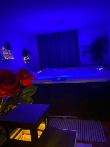Brzegi House | Willa Anna Bukowina & Spa