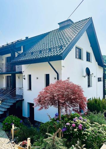 Solina House | Willa Solina