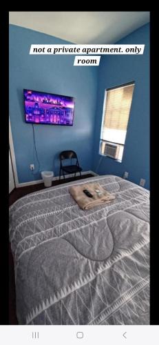 Weequahic Apartment | Willoughby