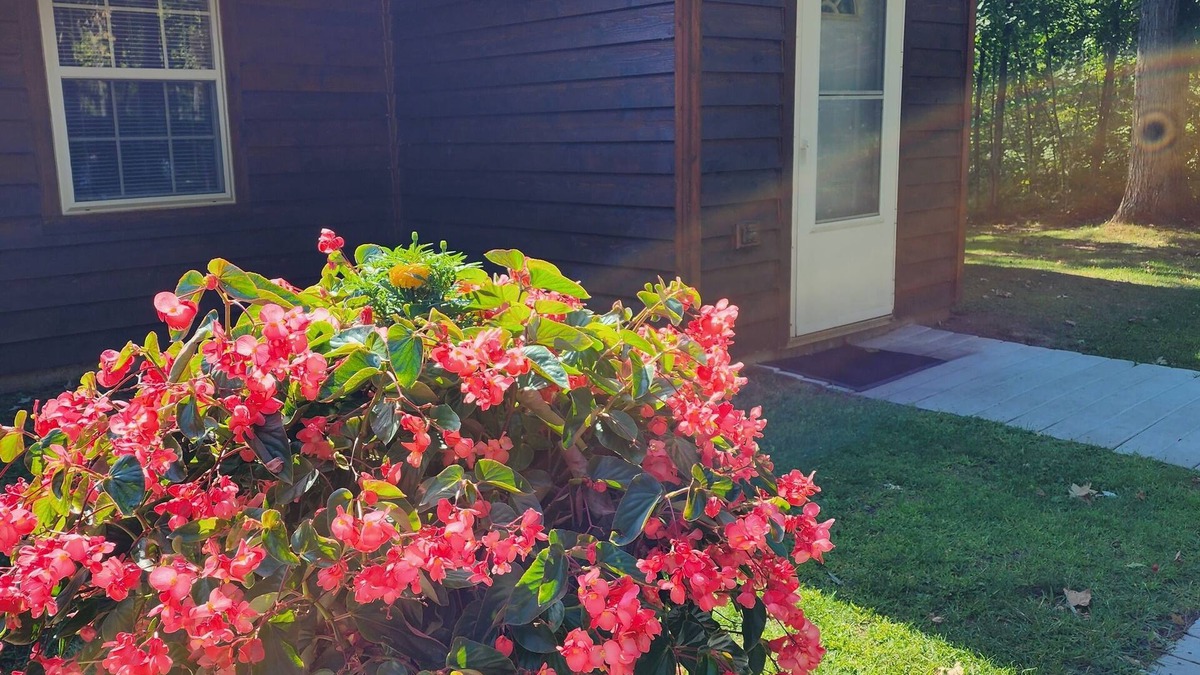 Hunter Resort | Willow Oak Cabin- Cabin on the Chippewa Flowage within a Resort