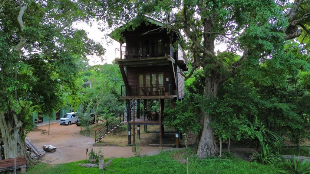 Nochchiyagama Bed & Breakfast | Wilpattu Tree House