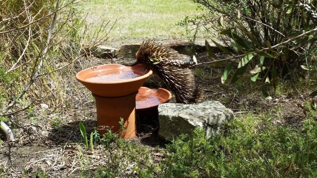 Little Swanport Bed & Breakfast | Wind Song Bed & Breakfast