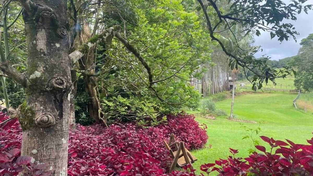 Rosebank Other | Windaboo @ Rosebank Byron Hinterland Estate