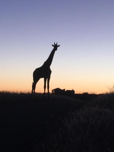 Voigtland House | Windhoek Rural Self Catering