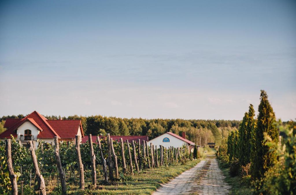 Sulechow House | Winnica Mozów
