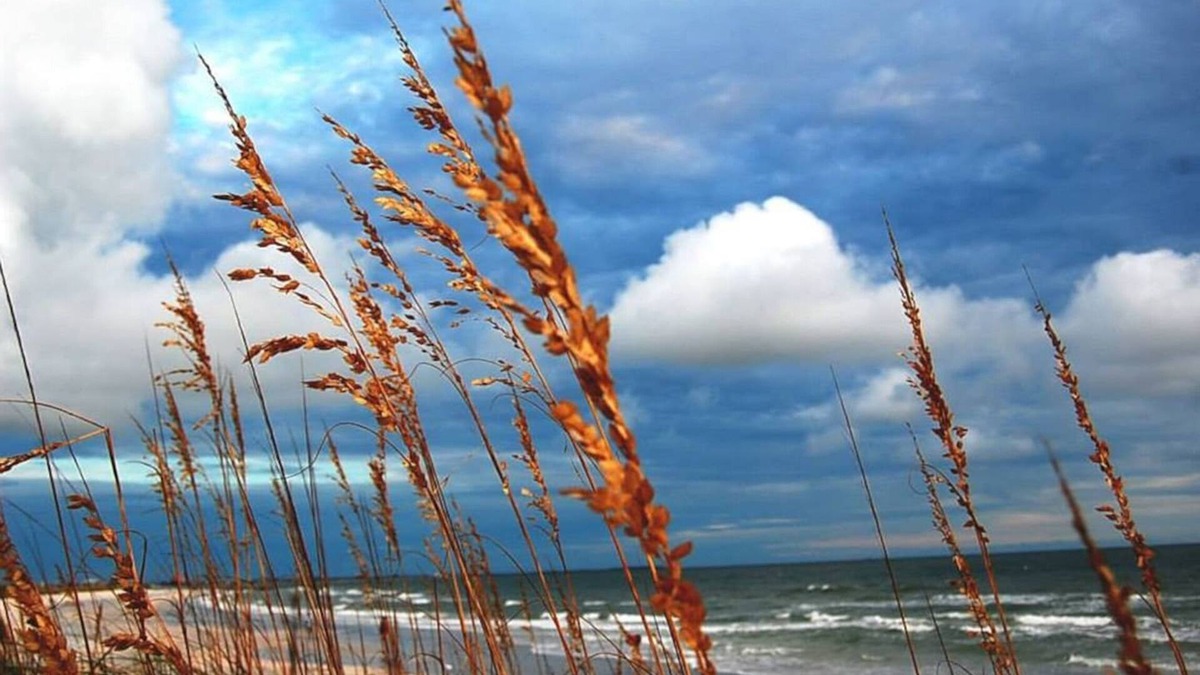 Sunset Beach Cottage | Winter in Historic Artsy Cottage on Fabulous Sunset Beach!